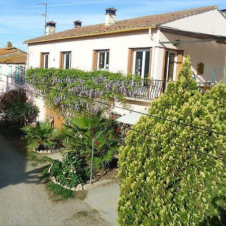 Gite Mas Des Ecureuils Palau-del-Vidre 外观 照片